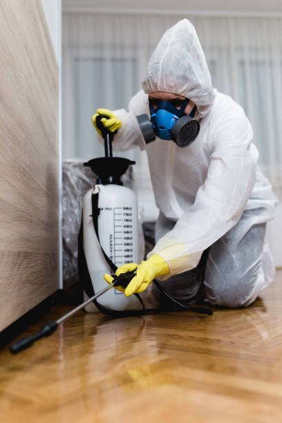 Best Fumigation Services  in Youngtown, AZ